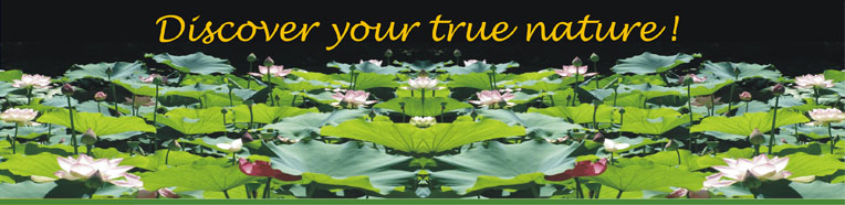 Discover your true nature !