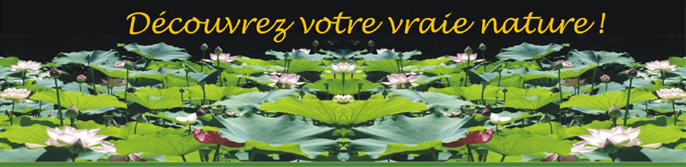 Découvrez votre vraie nature !